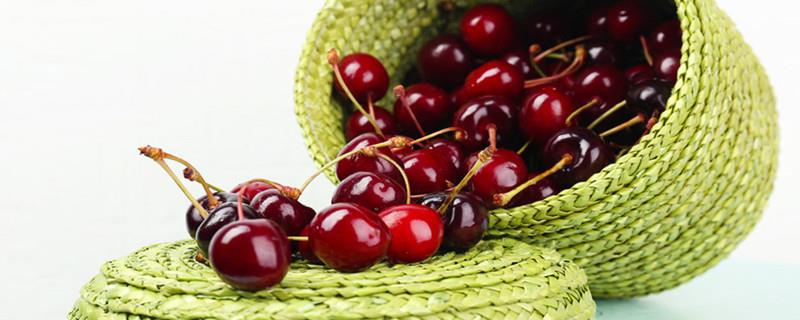 What kind of lapins are cherries?